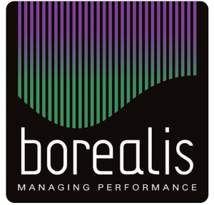 Borealis_Consulting_logo